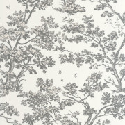 Papier Peint intissé Arbre noir fusain - LES BELLES TOILES DE JOUY 2 - Casadeco - BTJD81529889