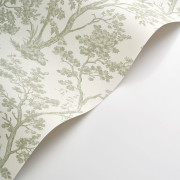 Papier Peint intissé Arbre vert amande blanc - LES BELLES TOILES DE JOUY 2 - Casadeco - BTJD81527227