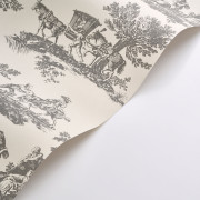 Papier Peint intissé Cadence noir fusain - LES BELLES TOILES DE JOUY 2 - Casadeco - BTJD201699310