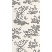 Papier Peint intissé Cadence noir fusain - LES BELLES TOILES DE JOUY 2 - Casadeco - BTJD201699310
