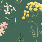 Papier peint intissé Herbier Prairie vert - Ugépa - M38914