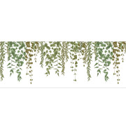 Frise XXL papier peint intissé Waterfalls vert - Kitchen Box - Caselio - KBO106950723