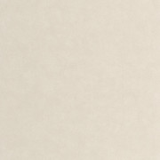 Papier peint vinyle sur intissé Astérios grège - Solaris - Casadeco - SOLA201881485