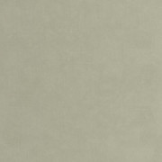 Papier peint vinyle sur intissé Sélène vert sauge - Solaris - Casadeco - SOLA201897202