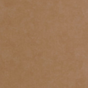 Papier peint vinyle sur intissé Sélène noisette - Solaris - Casadeco - SOLA201892940