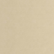 Papier peint vinyle sur intissé Meli beige sable - Solaris - Casadeco - SOLA201911497