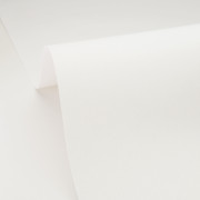 Papier peint vinyle sur intissé Uni Lignosa blanc - Woodline - Caselio - WOD106800000