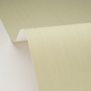 Papier peint vinyle sur intissé Uni Lignosa vert sauge - Woodline - Caselio - WOD106807007