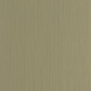 Papier peint vinyle sur intissé Uni Lignosa kaki - Woodline - Caselio - WOD106807156