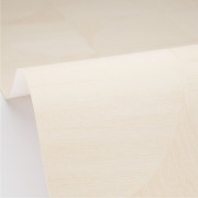 Papier peint vinyle sur intissé Structura écru - Woodline - Caselio - WOD106820000