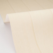 Papier peint vinyle sur intissé Essentia écru - Woodline - Caselio - WOD106850000