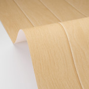 Papier peint vinyle sur intissé Essentia beige - Woodline - Caselio - WOD106851002
