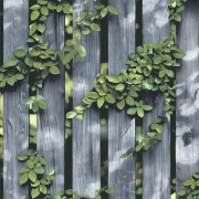 Papier peint vinyle sur intissé Palissade Végétaux Bois gris - Illusion - Ugépa - M88909