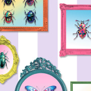 Papier peint vinyle sur intissé Trompe l'œil Cadre Insecte Entomologie Pop mauve - Illusion - Ugépa - M89506