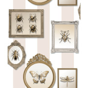 Papier peint vinyle sur intissé Trompe l'œil Cadre Insecte Entomologie Pop beige - Illusion - Ugépa - M89507