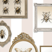 Papier peint vinyle sur intissé Trompe l'œil Cadre Insecte Entomologie Pop beige - Illusion - Ugépa - M89507