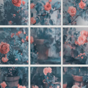 Papier peint vinyle sur intissé Trompe l'œil Fleur Verrière Roseraie bleu - Illusion - Ugépa - M89901