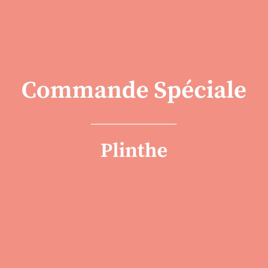 PLINTHE aluminium -...