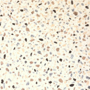 Sol PVC - Terrazzo Marmette Ceramica 534 - Leoline IVC - rouleau 2M