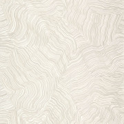 Papier peint intissé Infusion champagne - Elixir - Casadeco - EXIR202021523