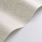 Papier peint intissé Infusion champagne - Elixir - Casadeco - EXIR202021523