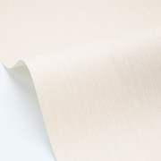 Papier peint vinyle sur intissé Uni mat neige - Éléa - Caselio - ELEA107331000