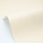 Papier peint vinyle sur intissé Uni mat écru - Éléa - Caselio - ELEA107331191