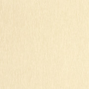 Papier peint vinyle sur intissé Uni mat avoine - Éléa - Caselio - ELEA107331210