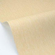 Papier peint vinyle sur intissé Uni mat sable - Éléa - Caselio - ELEA107331368