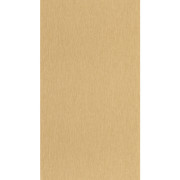 Papier peint vinyle sur intissé Uni mat savane - Éléa - Caselio - ELEA107332020