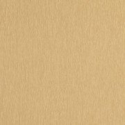 Papier peint vinyle sur intissé Uni mat savane - Éléa - Caselio - ELEA107332020