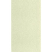 Papier peint vinyle sur intissé Uni mat vert amande - Éléa - Caselio - ELEA107337050