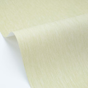 Papier peint vinyle sur intissé Uni mat vert amande - Éléa - Caselio - ELEA107337050