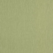 Papier peint vinyle sur intissé Uni mat vert kaki - Éléa - Caselio - ELEA107337120
