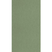 Papier peint vinyle sur intissé Uni mat vert fougère - Éléa - Caselio - ELEA107337278