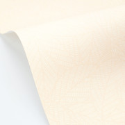 Papier peint vinyle sur intissé Délora blanc écru - Éléa - Caselio - ELEA107340000