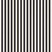 Papier peint vinyle sur intissé Talea noir et blanc - Moonlight 3 - Caselio - MNL3106670968