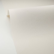 Papier peint expansé sur intissé Terra blanc craie - Moonlight 3 - Caselio - MNL3106060000