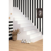 Papier peint vinyle sur intissé Wide Lines noir et blanc - Moonlight 3 - Caselio - MNL3104029290