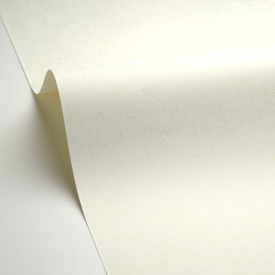 Papier peint vinyle sur...