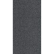 Papier peint vinyle sur intissé Uni mat gris anthracite - Moonlight 3 - Caselio - MNL3103229610