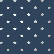 Papier peint intissé Starry bleu navy argent - Imagine - Lutèce - DL27584