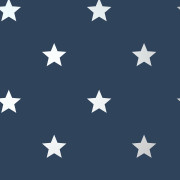 Papier peint intissé Starry bleu navy argent - Imagine - Lutèce - DL27584