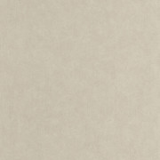 Papier peint vinyle sur intissé Arole grège - Rituel - Casadeco - RITU201977777