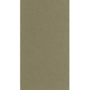 Papier peint vinyle sur intissé Arole vert kaki - Rituel - Casadeco - RITU201977777