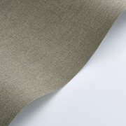 Papier peint vinyle sur intissé Caractère gris éléphant - Rituel - Casadeco - RITU201179338