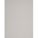 Papier peint Etoiles gris - DOUCE NUIT - Casadeco - DCN22729041