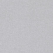 Papier peint intissé Uni gris - Kids World II - Rasch - 252842