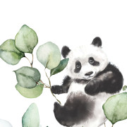 Panoramique intissé Panda Eucalyptus - 159X280cm - Kids World II - Rasch - 364835