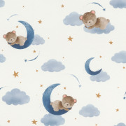 Papier peint intissé Ourson Lune bleu - Kids World II - Rasch - 321005